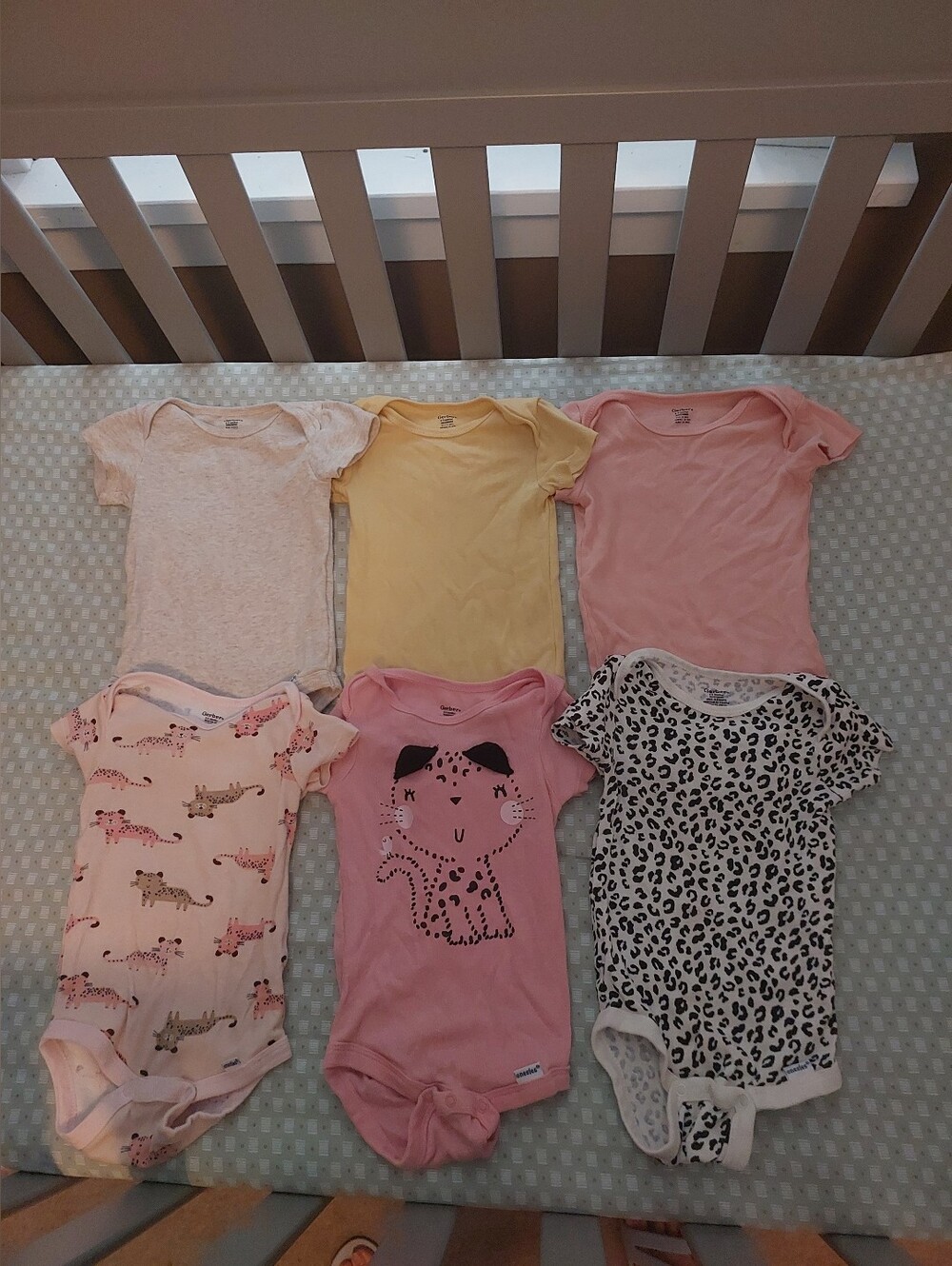 bundle of 6 gerber baby girl bodysuits 6-9 months